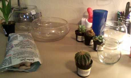 Here lay the tools for a terrarium